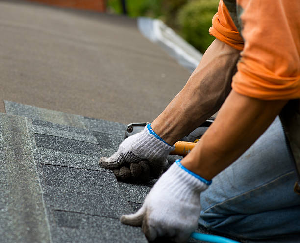 Best Local Roofing Companies  in Scotts Valley, CA