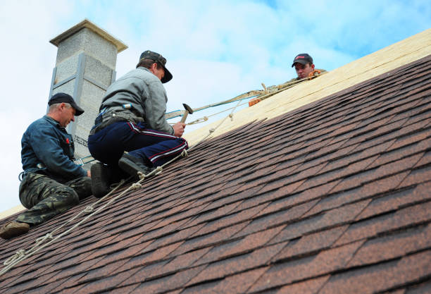 Best Affordable Roofing Company  in Scotts Valley, CA